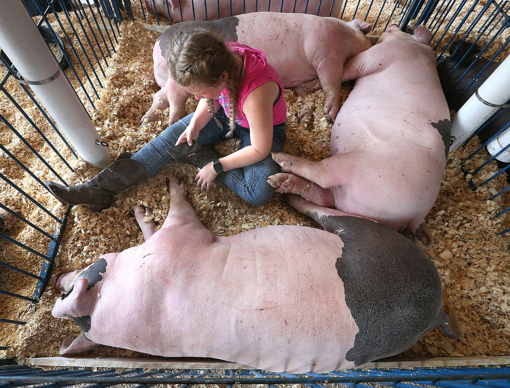 La Crosse Interstate Fair